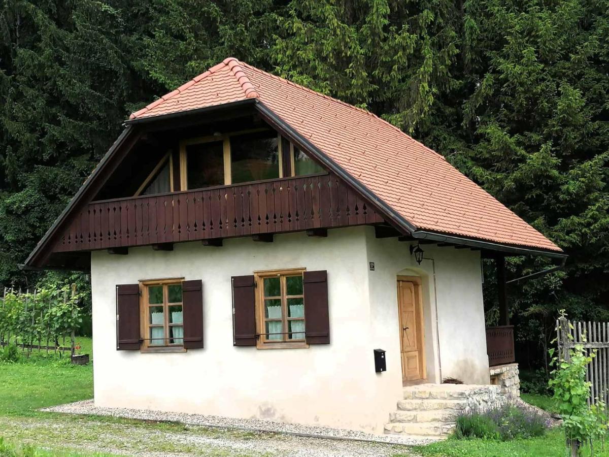 Holiday House Apartment Voukov Mlin Smarje pri Jelsah ภายนอก รูปภาพ